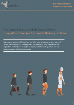 Greyfly Project Delivery Assessment Tool