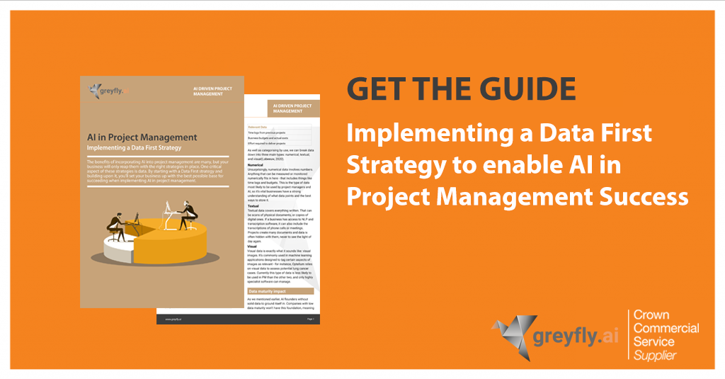 Implementing a Data First Strategy - Greyfly