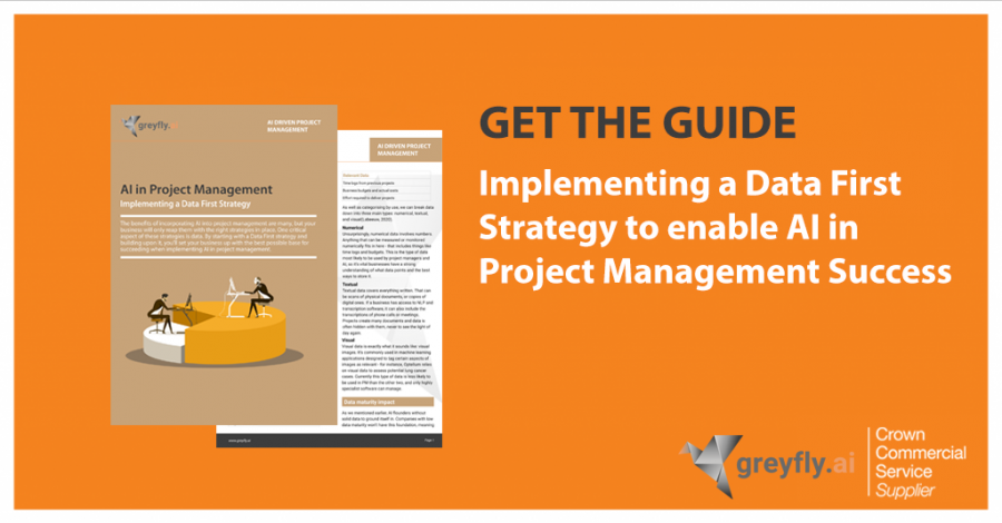 New Guide | Implementing a Data First Strategy - Greyfly